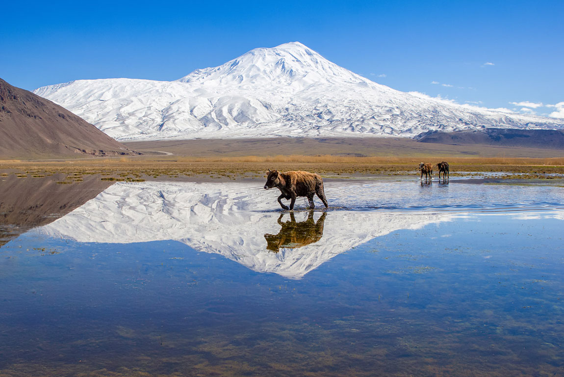 Агры (Ağrı)-05