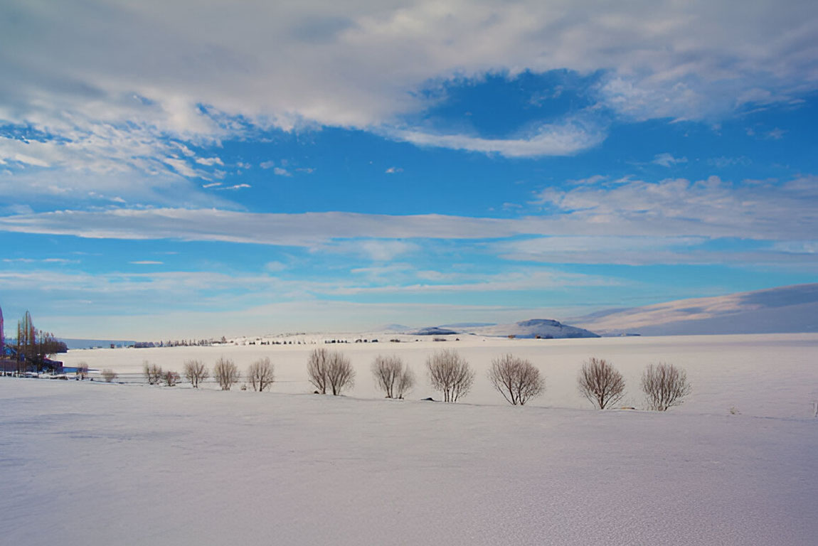 Ардахан (Ardahan)-03