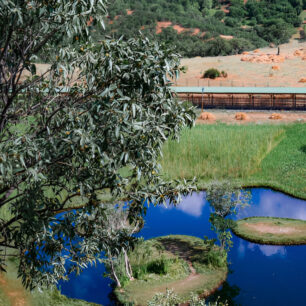 Бингёль (Bingöl)