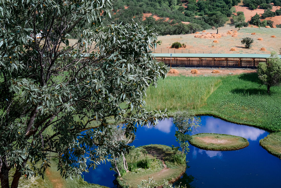 Бингёль (Bingöl)-01