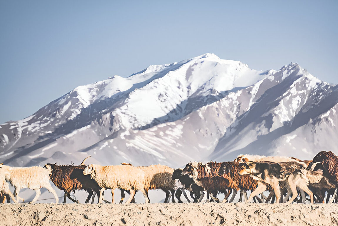 Бингёль (Bingöl)-04