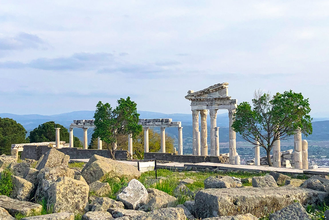 Clock tower and palm trees at night at Izmir