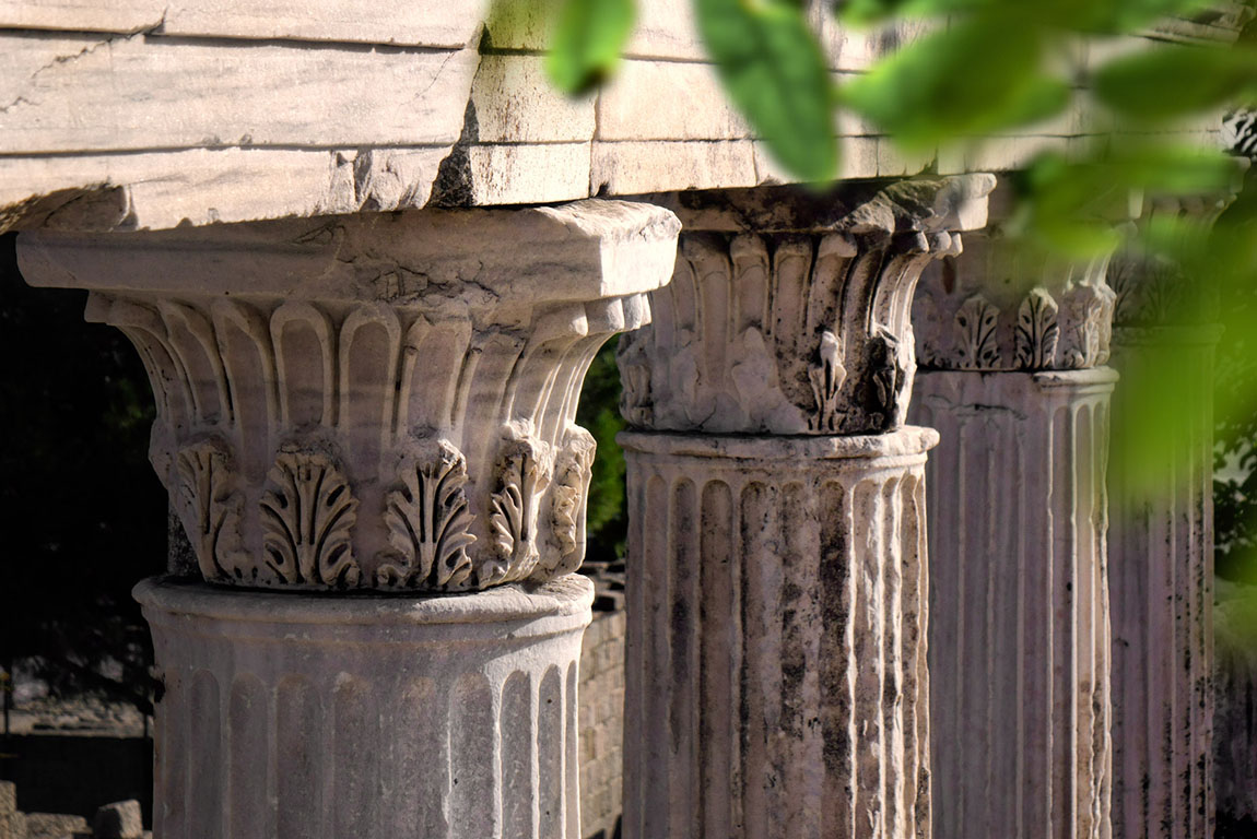 Clock tower and palm trees at night at Izmir