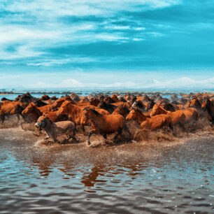 Кайсери (Kayseri)