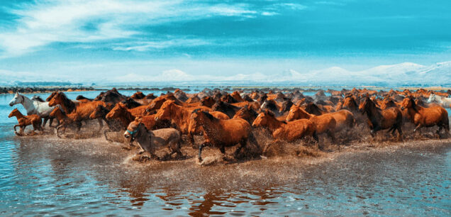 Кайсери (Kayseri)