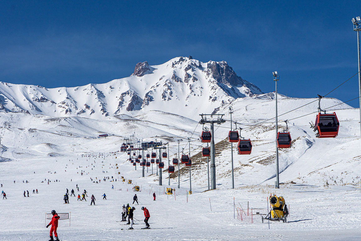 yılkı horses in the foothills of erciyes mountain