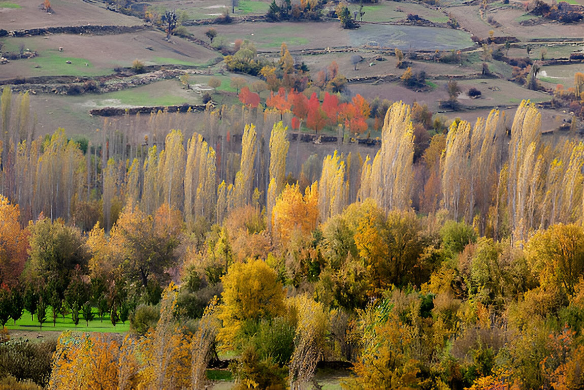 Караман (Karaman)-04