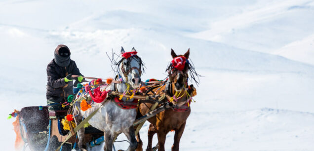 Карс (Kars)