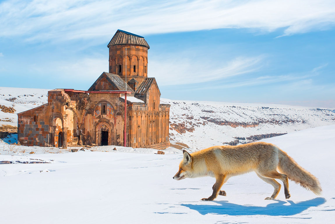 Traditional horse transport with sleigh