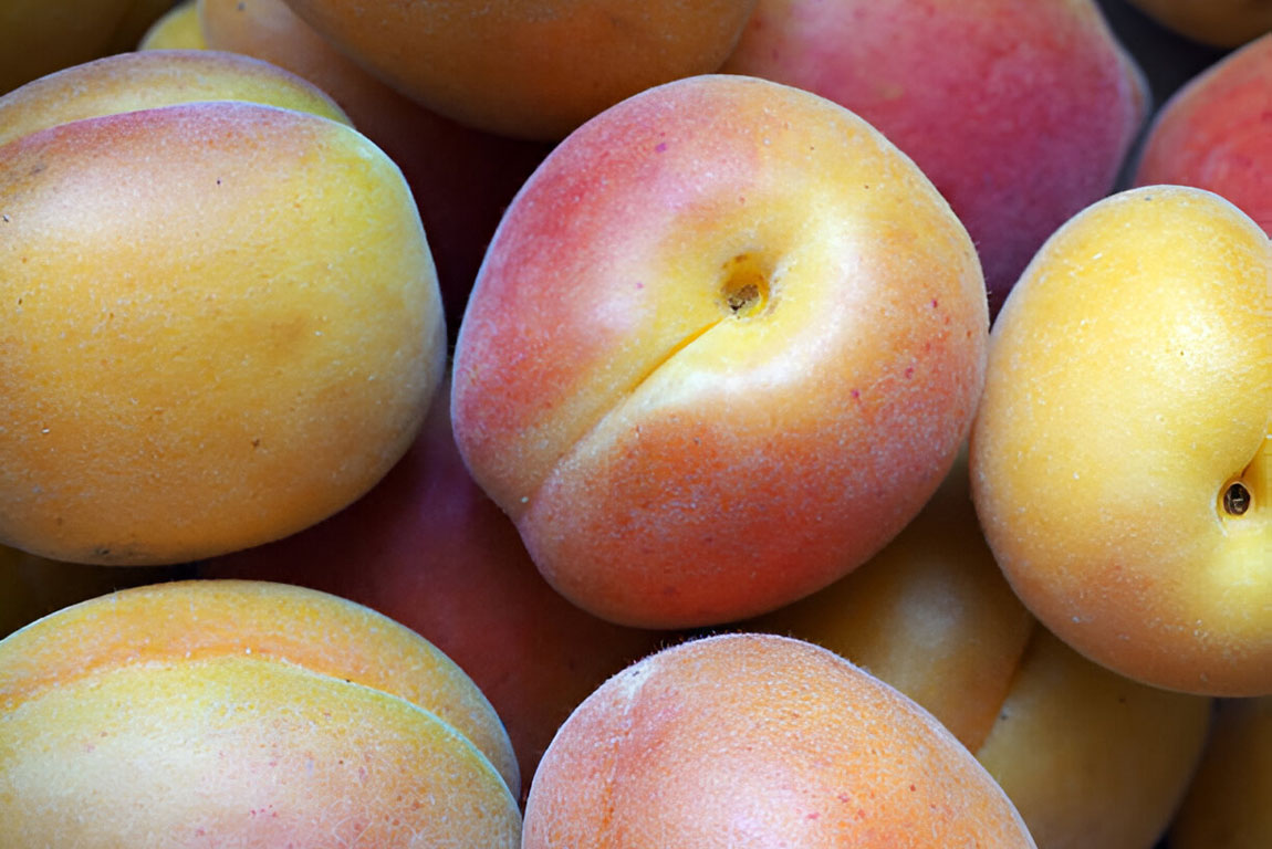 Малатья (Malatya)-01