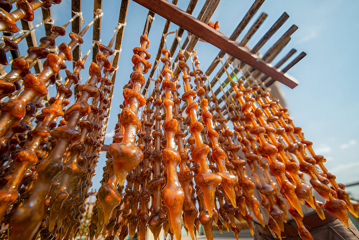 Малатья (Malatya)-04