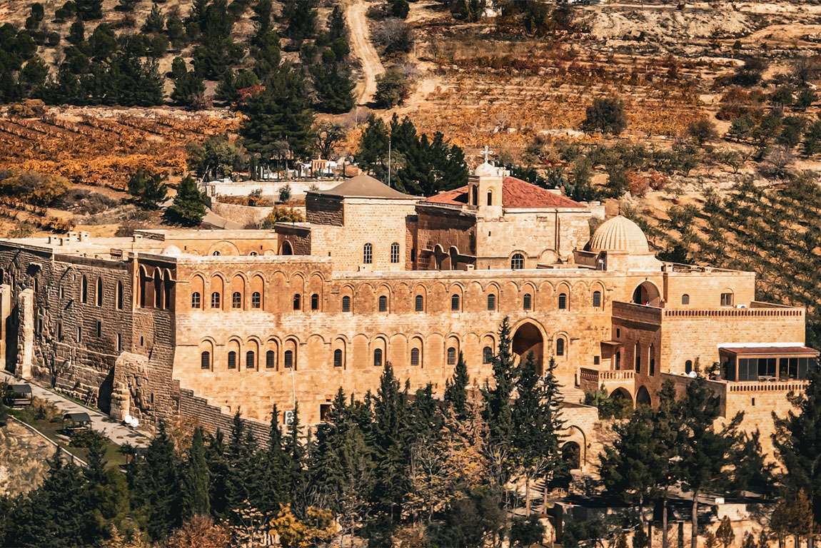 Pigeons in Mardin, Turkey