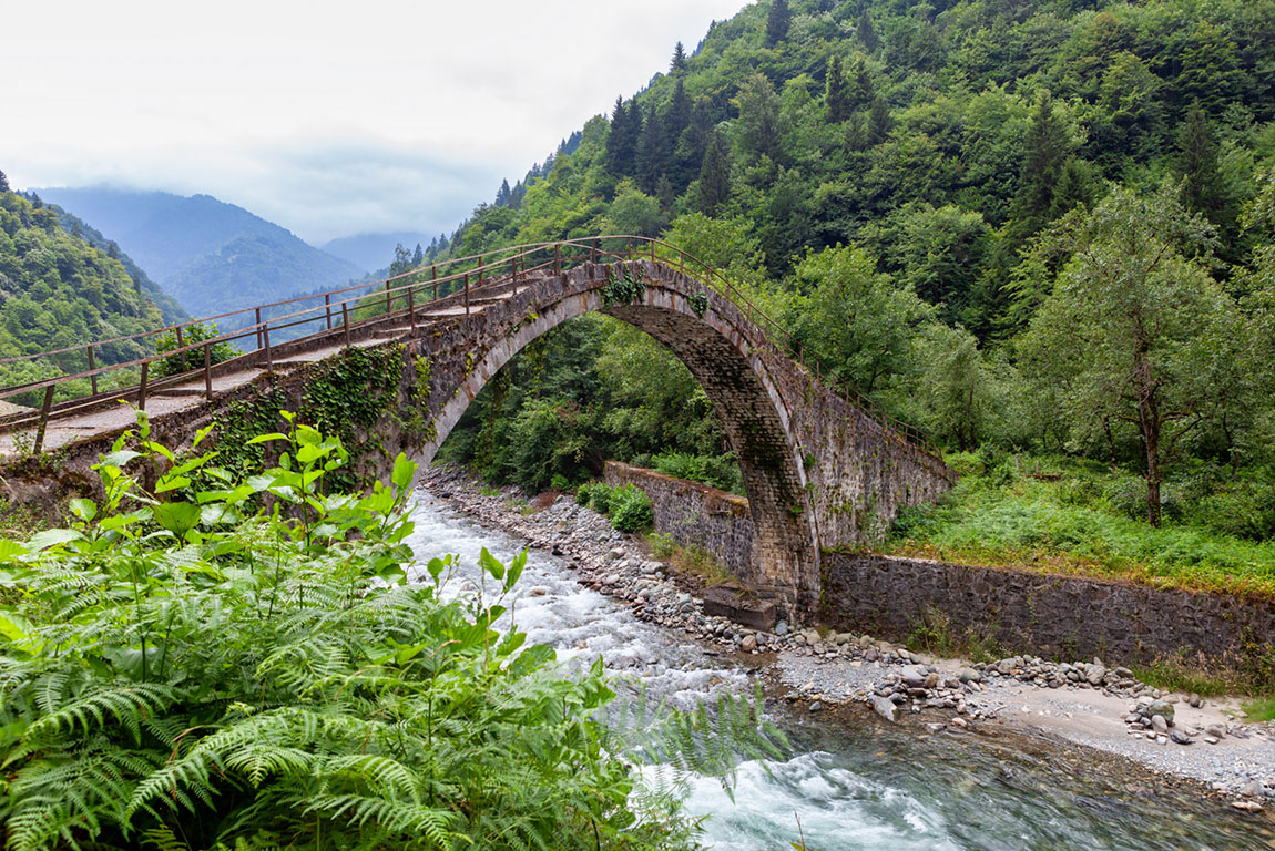 rear view of young woman with wicker basket wearing traditional harvesting clothes between rows of Turkish black tea plantations in Cayeli area Rize province