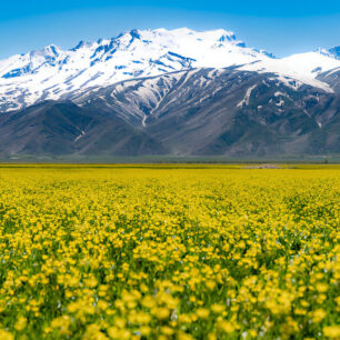 Хаккари (Hakkâri)