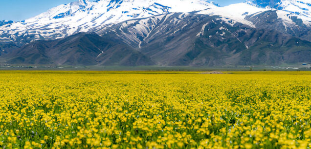 Хаккари (Hakkâri)
