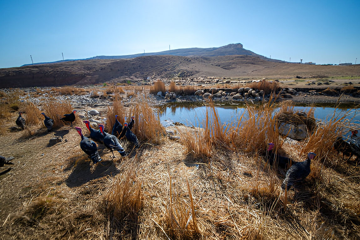 Ширнак (Şırnak)-05