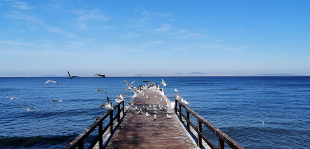 Ялова (Yalova)