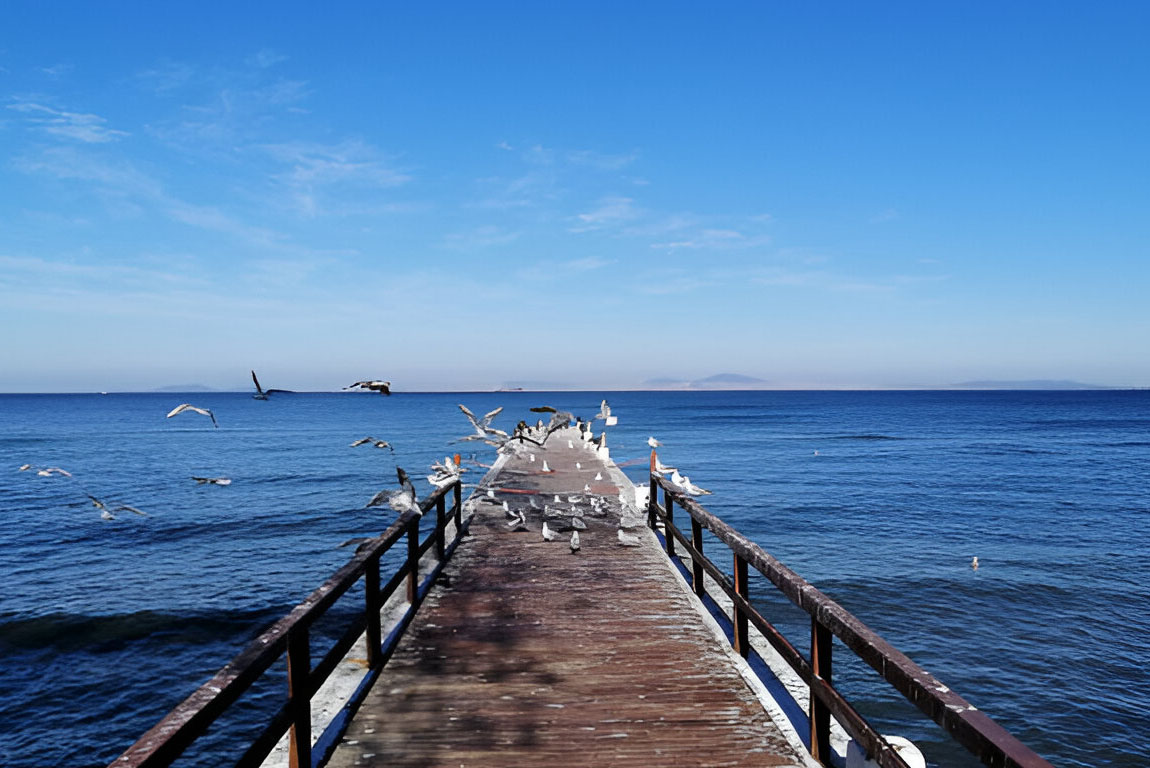 Ялова (Yalova)-01